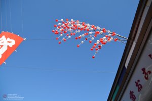 20180110102736_NIKON D7100.jpg